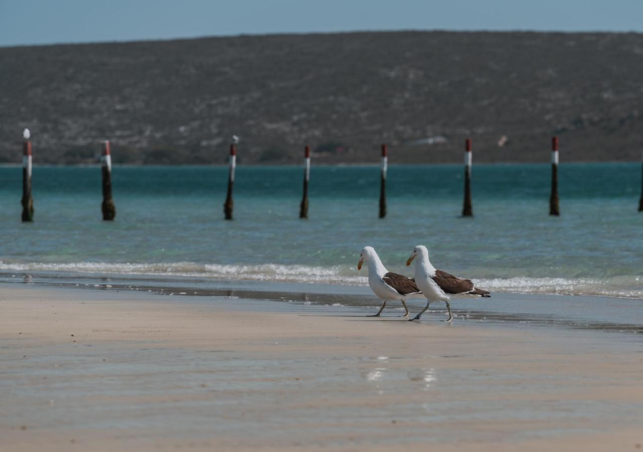 The Shark Bay Boutique Hotel & Spa Langebaan Extérieur photo